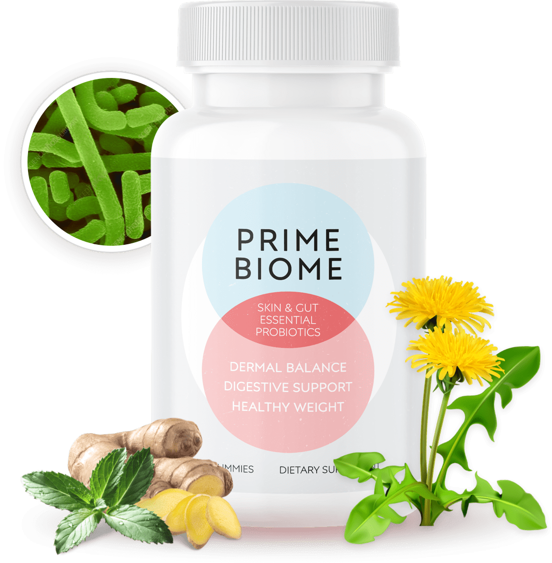 PrimeBiome Banner Image